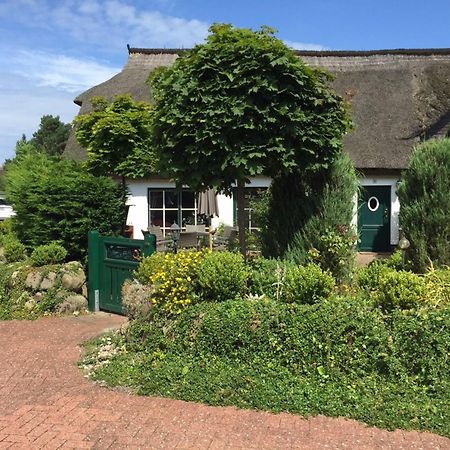 Birkenstrasse 10 Fischerhus Zingst Kültér fotó